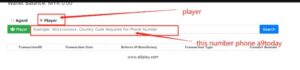 You will come to below page, select Player , key in your a9-today phone number that you used to register on the first steps just now . Remember the number format to key in should be – 60xxxxxxx , with the complete country code.
